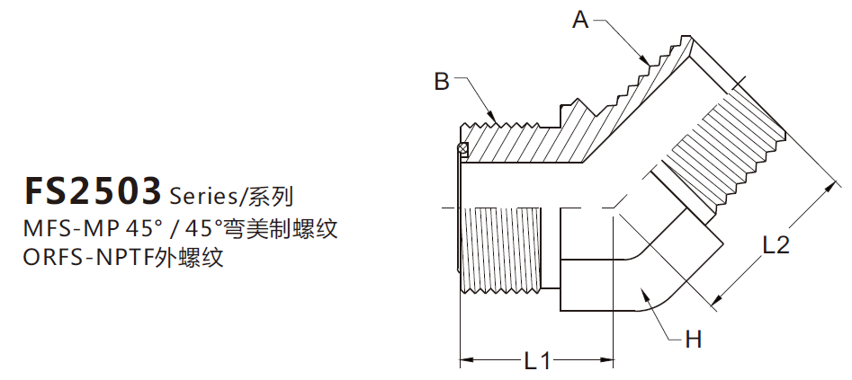 FS2503(图1)