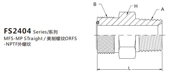 FS2404(图1)