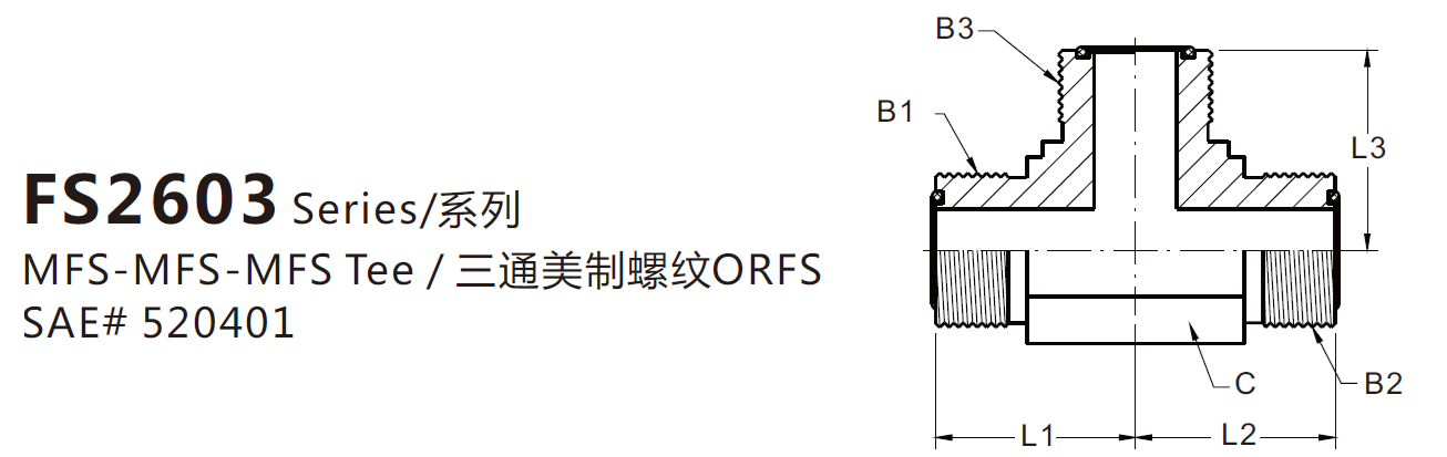 FS2603(图1)